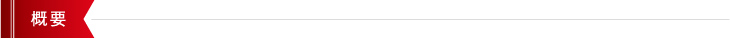概要